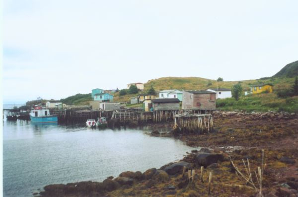 593: Red Island. (2002) [courtesy of Heather Walsh]
